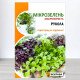 Насіння мікрозелені Руколи, Яскрава, 10г