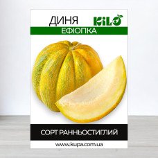 Насіння дині Ефіопка, 0,5кг