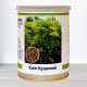 Насіння кропу Кущовий, Польща, Marvel, банка 100г