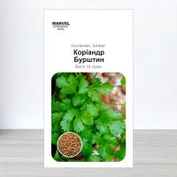Насіння коріандру - кінзи Бурштин, Україна, Marvel, 10г