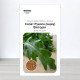 Насіння руколи індау Вікторія, Україна, Marvel, 10г