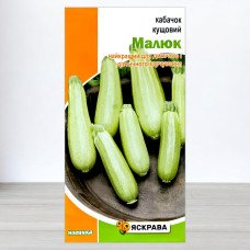 Насіння кабачку кущового Малюк, Яскрава, 3г