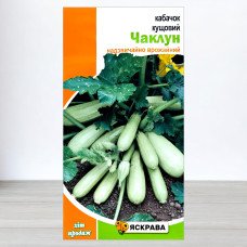Насіння кабачку кущового Чаклун, Яскрава, 3г