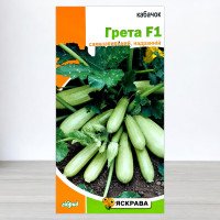 Насіння кабачку самозапильного бiлоплідного Грета F1, Яскрава, 5 насінин