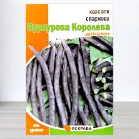 Насіння квасолі спаржевої Пурпурова Королева, Яскрава, 10г