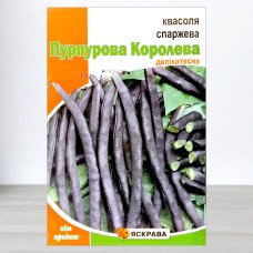 Насіння квасолі спаржевої Пурпурова Королева, Яскрава, 10г