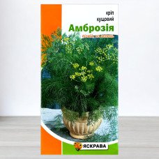 Насіння кропу кущового Амброзiя, Яскрава, 5г