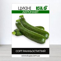 Насіння кабачка цукіні Аеронавт, 0,5кг