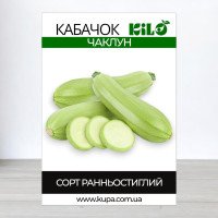 Насіння кабачка Чаклун, 0,5кг