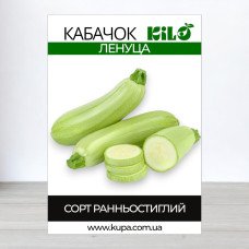 Насіння кабачка Ленуца F1, 0,5 кг