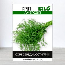 Насіння кропу Амброзія, 1кг
