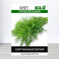 Насіння кропу Грибовський, 1кг