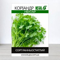 Насіння коріандра Кінза Нектар, 1кг