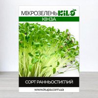 Насіння мікрозелені Кінза, 100г