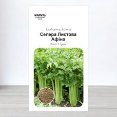 Насіння селери листової Афіна, Польща, Marvel, 1г