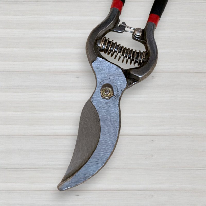 Секатор садовий Pruner 10, довжина 25см