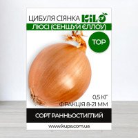 Цибуля сіянка Люсі (Сеншуй Єллоу) TOP, факція 8-21мм, 0,5кг