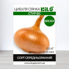Цибуля сіянка Стур БС Broer, факція 10-21мм, 0,5кг