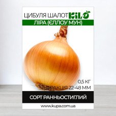 Цибуля-шалот сіянка Ліра (Єллоу Мун), факція 22-48мм, 0,5кг