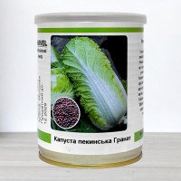 Насіння капусти пекінської Гранат, Польща, Marvel, 100г