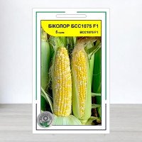 Насіння кукурудзи цукрової Біколор БСС1075 F1, АПГ Syngenta Seeds BV, Нідерланди, 5г
