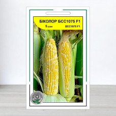 Насіння кукурудзи цукрової Біколор БСС1075 F1, АПГ Syngenta Seeds BV, Нідерланди, 5г