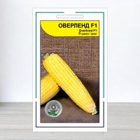 Насіння кукурудзи цукрової Оверленд F1, АПГ Syngenta Seeds BV, Нідерланди, 5г