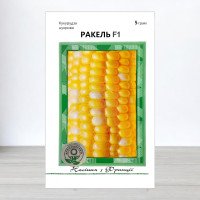 Насіння кукурудзи цукрової Ракель F1, АПГ Clause Tezier, Франція, 5г