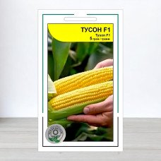 Насіння кукурудзи цукрової Тусон F1, АПГ Syngenta Seeds BV, Нідерланди, 5г