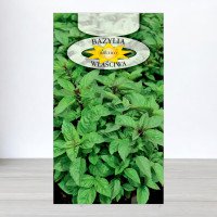 Насіння базиліка Правильний, Roltico, Польща, 1г