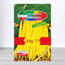 Насіння квасолі спаржевої Універса, Spojnia, Польща, 44г