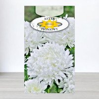 Насіння айстри пiвонiєподібної Білої, Roltico, Польща, 1г