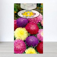 Насіння айстри помпонної Суміш, Roltico, Польща, 1г