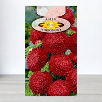 Насіння айстри помпонної Червоної, Roltico, Польща, 1г