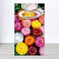 Насіння гелiхрiзуму Безсмертник, Roltico, Польща, 1г