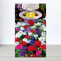 Насіння вербени гібридної ампельної Суміш, Roltico, Польща, 0,3г