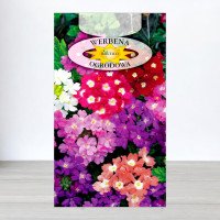 Насіння вербени гібридної низької Суміш, Roltico, Польща, 0,5г