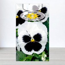 Насіння віоли двокольорової Білої, Roltico, Польща, 0,5г