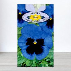 Насіння віоли двокольорової Блакитної, Roltico, Польща, 0,5г