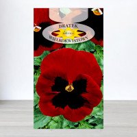 Насіння віоли двокольорової Червоної, Roltico, Польща, 0,5г