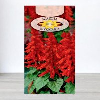 Насіння шавлії блискучої Червоної, Roltico, Польща, 0,5г