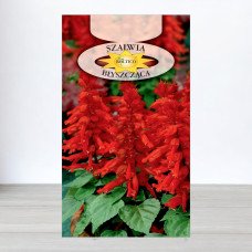 Насіння шавлії блискучої Червоної, Roltico, Польща, 0,5г