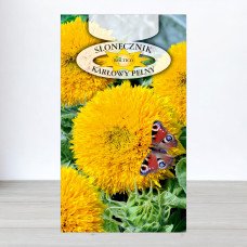 Насіння соняшника декоративного карликового Махровий, Roltico, Польща, 2г