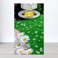 Насіння ромашки садової Лугова, Roltico, Польща, 0,2г