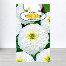 Насіння цинії Білої, Roltico, Польща, 1г