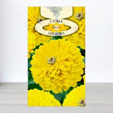 Насіння цинії Жовтої, Roltico, Польща, 1г