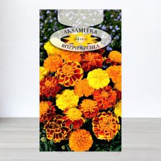 Насіння чорнобривців розлогих Суміш, Roltico, Польща, 1г