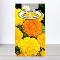 Насіння чорнобривців карликових Суміш, Roltico, Польща, 0,5г