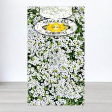 Насіння аліссума Білого, Roltico, Польща, 0,5г