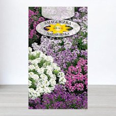 Насіння аліссума Суміш, Roltico, Польща, 0,5г